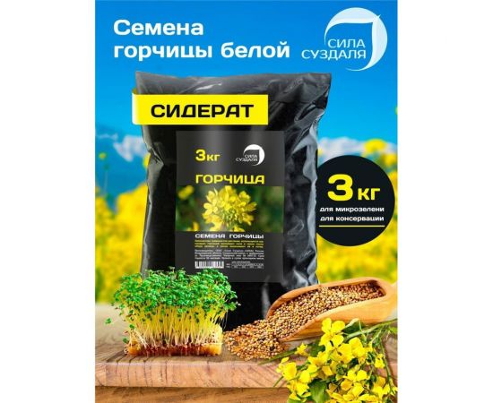 Семена горчицы Сила Суздаля 3 кг 4680004063605 – изображение 2