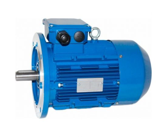 Электродвигатель 5АИ 100 L4 4/1500 IM 3081 01.01.213682 