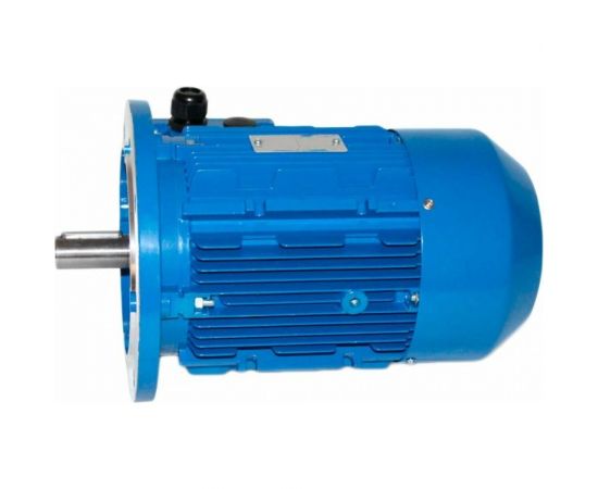 Электродвигатель 5АИ 100 L4 4/1500 IM 3081 01.01.213682 – изображение 2