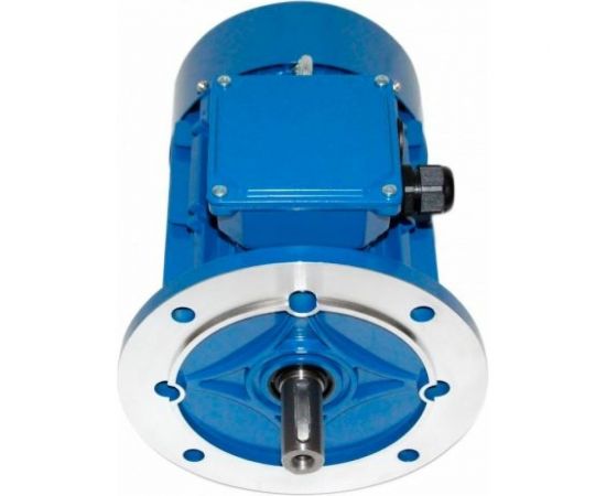 Электродвигатель 5АИ 100 L4 4/1500 IM 3081 01.01.213682 – изображение 3