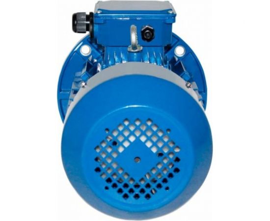 Электродвигатель 5АИ 100 L4 4/1500 IM 3081 01.01.213682 – изображение 4