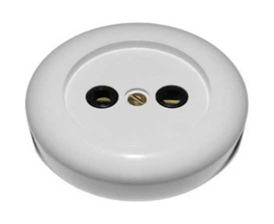 Розетка ООО Ливны-Электро РА 10-007, белая РАф 115 