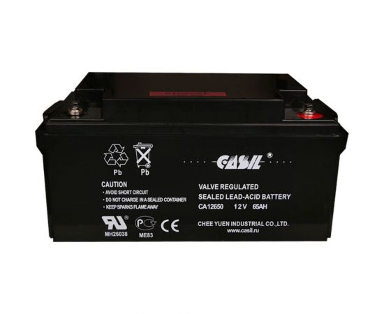 Аккумуляторная батарея CASIL CA12650 12650000 – изображение 2