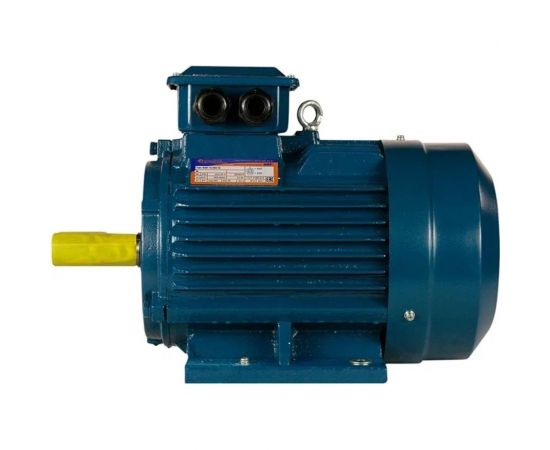 Электродвигатель 5АИ 112 М2 7.6/3000 IM 1081 01.01.214216 