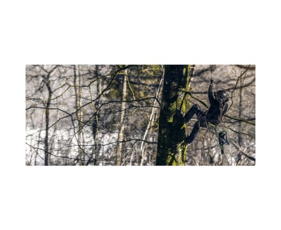 Бесщеточная цепная одноручная пила GreenWorks 40 В 2003807 – изображение 4