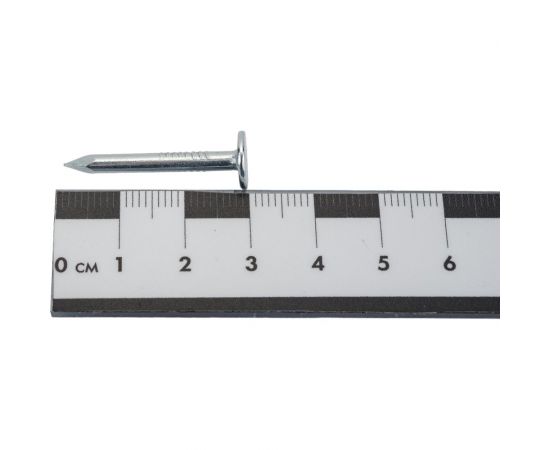 Гвозди с большой потайной головкой ЗУБР оцинкованные, 30 х 3.0 мм, 5 кг (примерно 2400 шт.) 305090-30-030 – изображение 4