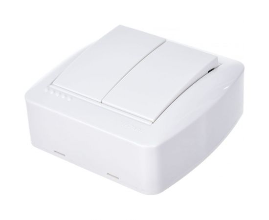 Двойной выключатель Lezard DEMET белый 711-0200-101 