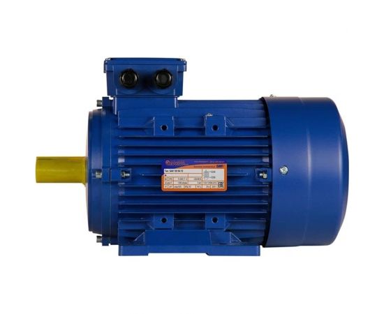 Электродвигатель 5АИ 100 S4 3/1500 IM 1081 01.01.213667 