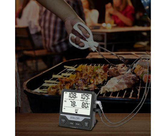 Термометр для мяса и пищевых продуктов BALDR B0373T2 – изображение 10
