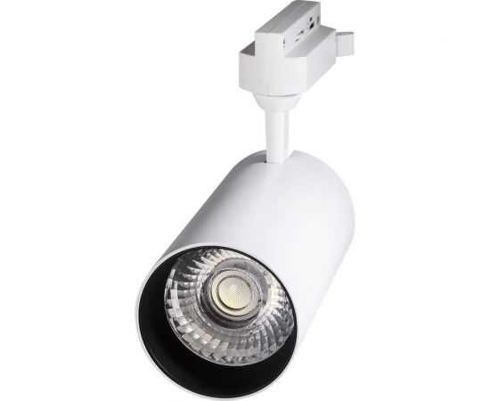 Прожектор Jazzway PTR 0730 FOOD MEAT 30w 24гр. WH белый IP40 5026629 