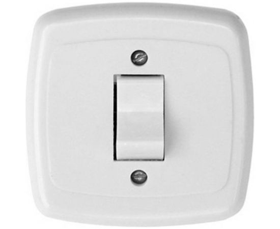 Одноклавишный выключатель ООО Ливны-Электро скрытой установки С1-002 УХЛ 4 белый ВСП 11 