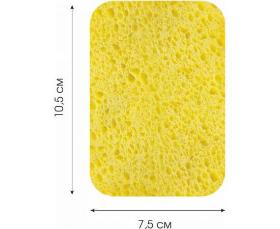 Целлюлозная губка Youll Love с ретикулированным поролоном, 2 шт. 75084 – изображение 2