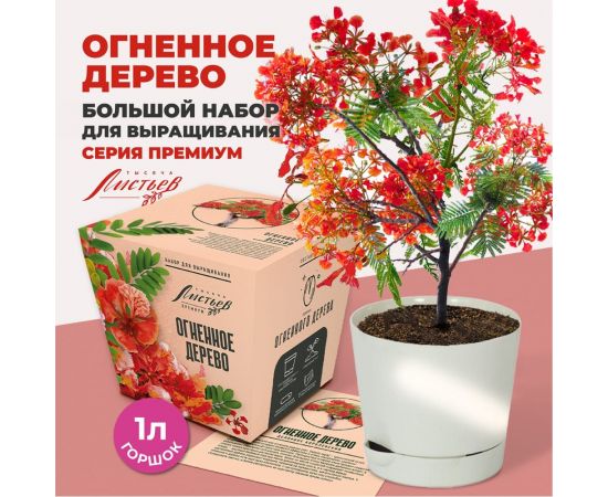 Набор для выращивания растений Тысяча листьев Премиум огненное дерево tl-037 – изображение 10