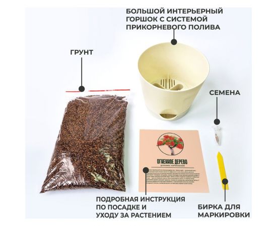 Набор для выращивания растений Тысяча листьев Премиум огненное дерево tl-037 – изображение 9