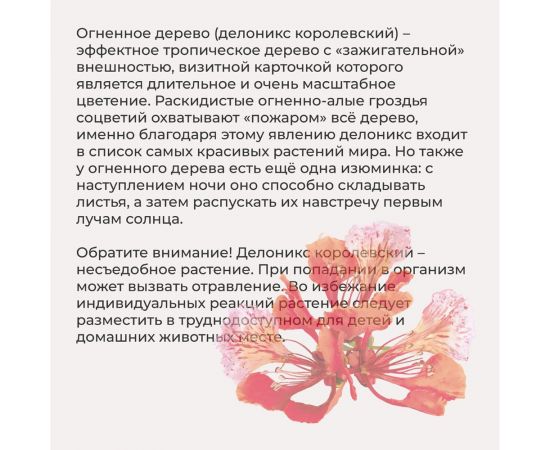 Набор для выращивания растений Тысяча листьев Премиум огненное дерево tl-037 – изображение 7