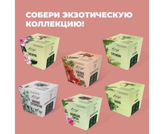 Набор для выращивания растений Тысяча листьев Премиум огненное дерево tl-037 – изображение 4