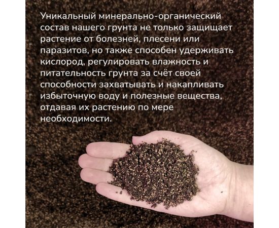 Набор для выращивания растений Тысяча листьев Премиум огненное дерево tl-037 – изображение 3