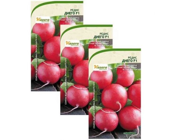 Семена САДОВИТА Редис Диего F1 1 г 00161765 – изображение 2