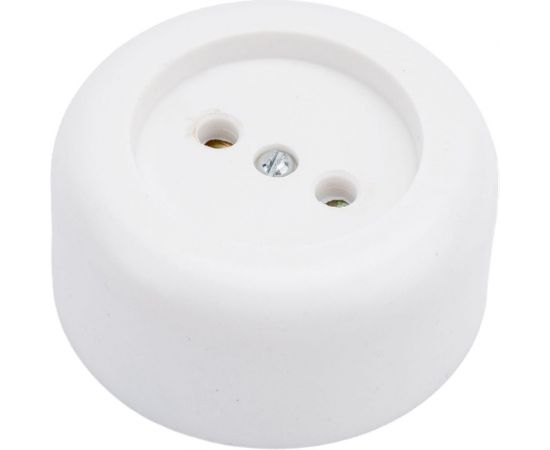 Круглая розетка ООО Ливны-Электро РА 10-007 белая РАф 714 