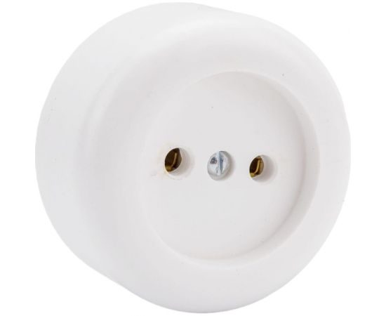 Круглая розетка ООО Ливны-Электро РА 10-007 белая РАф 714 – изображение 4