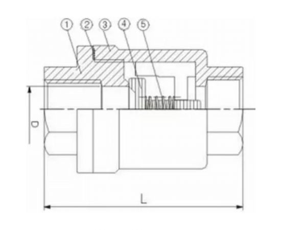 Обратный клапан DN.ru пружинный LSCV Ду20 Ру16 муфтовый D100-00488 – изображение 2