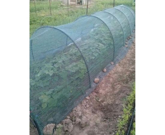 Навес Мегапласт Защитник стеклодуги + сетка от птиц до 5 м 1445 