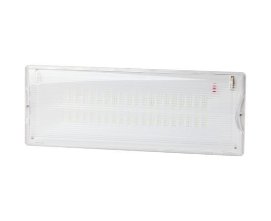 Аварийный светодиодный светильник ЭРА DPA301065, 40LED, 3ч Б0044405 