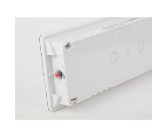 Аварийный светодиодный светильник ЭРА DPA301065, 40LED, 3ч Б0044405 – изображение 4