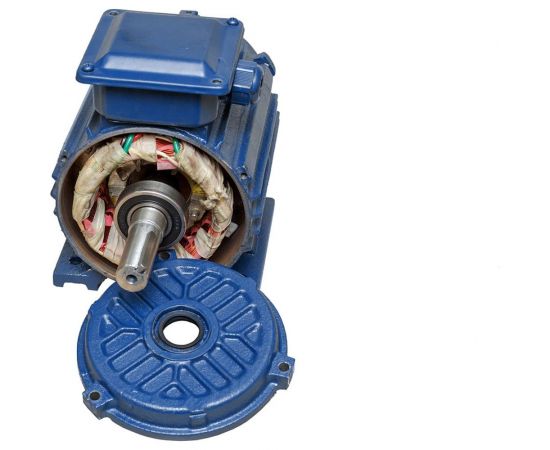 Электродвигатель ТМ БЭЗ АИР 100L6 IM2081 2,2 кВт, 1000 об/мин 98415 – изображение 6