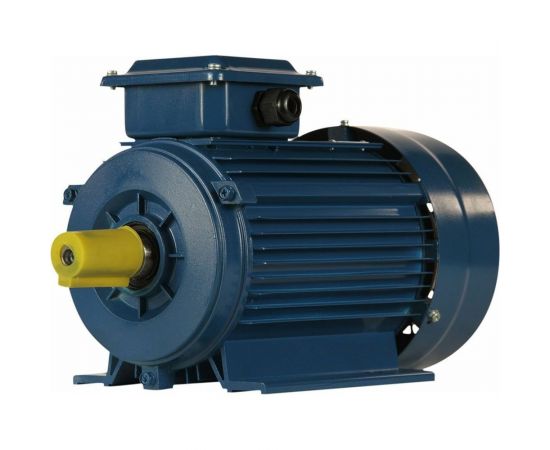 Электродвигатель 5АИ 80 В6 FT100 1.1/1000 IM 2181 01.01.221570 