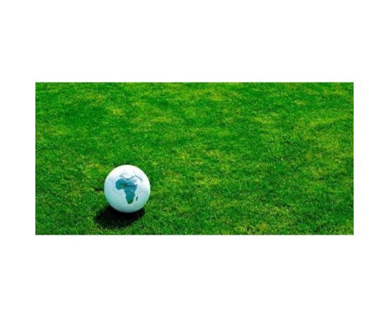 Газонная трава Сила Суздаля Овсянница Тросниковидная 1 кг 4680004066859 – изображение 2