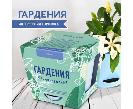 Набор для выращивания растений Тысяча Листьев гардения жасминовидная tl-034 – изображение 7