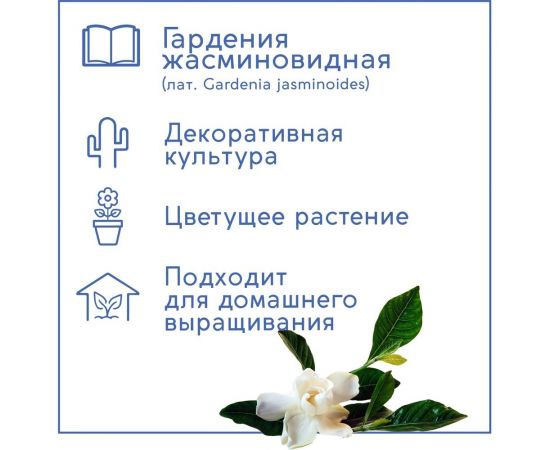 Набор для выращивания растений Тысяча Листьев гардения жасминовидная tl-034 – изображение 6