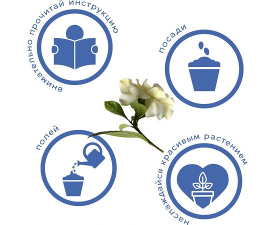 Набор для выращивания растений Тысяча Листьев гардения жасминовидная tl-034 – изображение 3