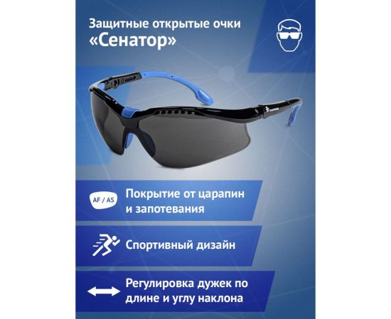 Открытые очки Ампаро Сенатор, затемненные линзы, AS-AF 1111 – изображение 6