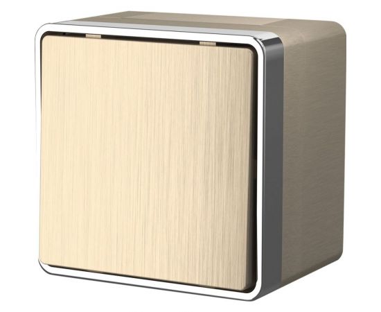 Одноклавишный влагозащищенный выключатель Werkel WL15-01-02 a041413 