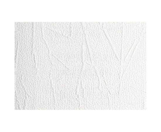 Антивандальные обои под покраску NC 4010-17 – изображение 2