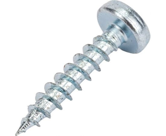 Универсальный шуруп ЕВРОПАРТНЕР multi, полукруглая головка, tx15, zn, 4,0x20 мм, 25 шт. Т6 1562 1 – изображение 2