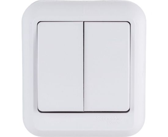 2-клавишный выключатель Schneider Electric открытой проводки Прима 6А IP20 белый A56-029M-BI 