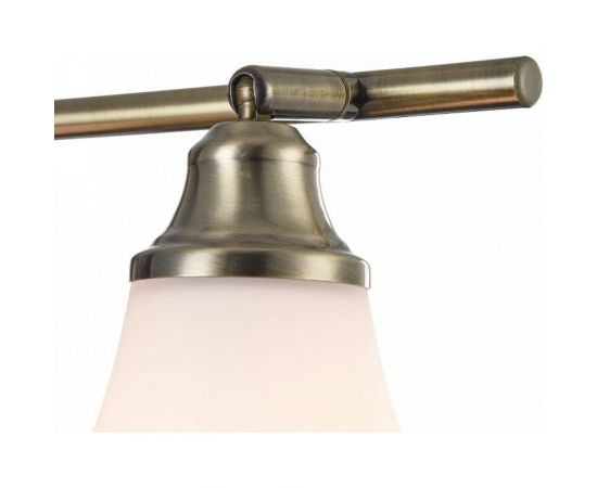 Спот Freya Jasinta FR2272-CW-03-BS – изображение 3