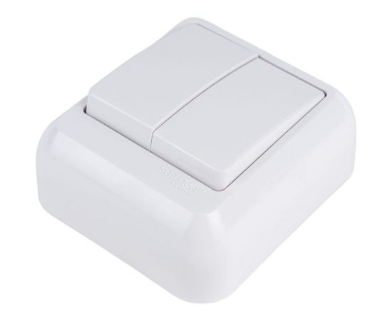 2-клавишный выключатель Schneider Electric открытой проводки Прима 6А IP20 белый A56-029M-BI – изображение 3