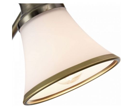 Спот Freya Jasinta FR2272-CW-03-BS – изображение 2