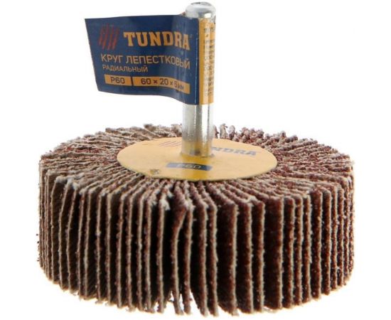 Круг лепестковый радиальный (60х20х6 мм; Р60) ТУНДРА 1875463 