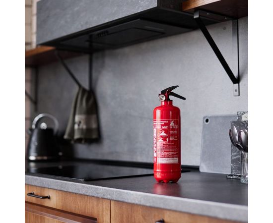 Профессиональный порошковый огнетушитель МИГ ОП-1(з) (1А, 21В, С, Е) 111-101 – изображение 4