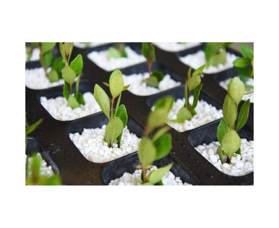 Агроперлит Сила Суздаля 83 л 4680004063476 – изображение 2