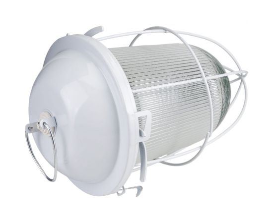 Светильник с решеткой ЭРА НСП 41-200-003 Желудь сталь стекло IP54 E27 max 200Вт белый Б0052020 