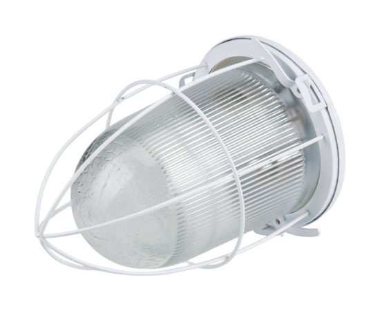 Светильник с решеткой ЭРА НСП 41-200-003 Желудь сталь стекло IP54 E27 max 200Вт белый Б0052020 – изображение 4