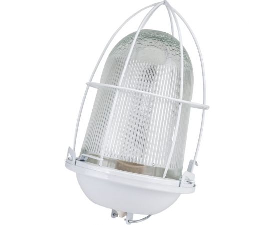 Светильник с решеткой ЭРА НСП 41-200-003 Желудь сталь стекло IP54 E27 max 200Вт белый Б0052020 – изображение 3