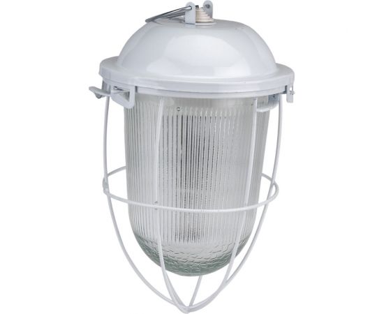 Светильник с решеткой ЭРА НСП 41-200-003 Желудь сталь стекло IP54 E27 max 200Вт белый Б0052020 – изображение 2