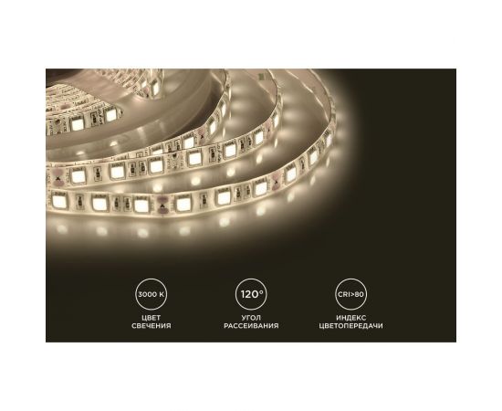 Светодиодная лента Apeyron в блистере, 12В, 14,4Вт/м, smd5050, 60д/м, IP65, 700Лм, подложка 10мм, 1м, 3000К 258BL – изображение 5